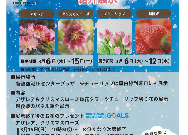 新潟の春の花と越後姫の紹介展示「フライト・フローラ」開催のお知らせ